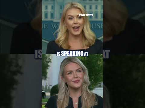 Read more about the article HIGHLIGHTS: Leavitt’s BEST media takedowns #shorts #foxnews #politics