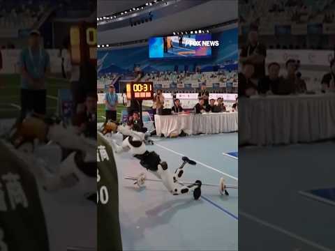 Read more about the article WATCH: Robot crashes into judges’ table during humanoid weightlifting final #shorts #foxnews #news