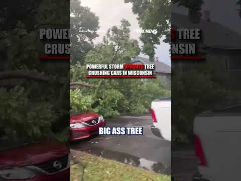 Read more about the article MASSIVE tree crushes cars during Milwaukee storm