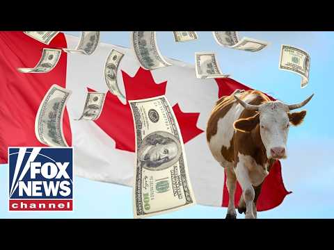 Read more about the article HOLY COW: US-Canada tariff war EXPLODES amid concerns of beef prices