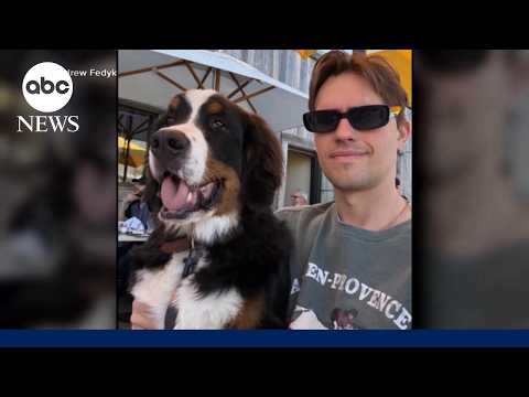 Read more about the article LA DJ demanding answers after alleging $10,000 dog training turns deadly