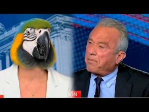 Read more about the article LMAO: RFK JR. Puts CNN’s “Parrot” Dana Bash In Her Place