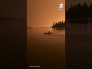 Read more about the article Orange skies over Canada as wildfires rage