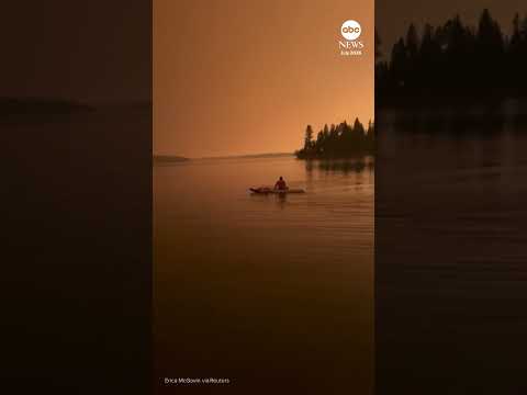Read more about the article Orange skies over Canada as wildfires rage