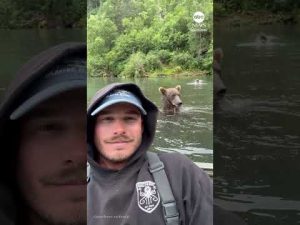 Read more about the article Grizzly bear chows down right next to fishing guide