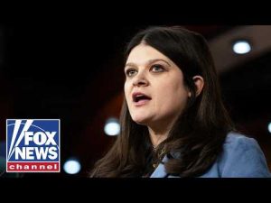 Read more about the article WATCH: Haley Stevens holds election watch party