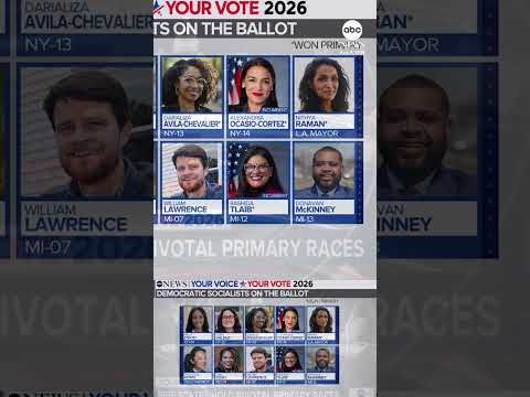 Read more about the article Analyzing Michigan’s Democratic Senate primary