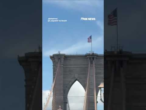 Read more about the article Naked man SURVIVES after jumping off Brooklyn Bridge #shorts #us #news #foxnews #viral