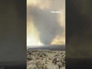 Read more about the article Massive ‘FIRENADO’ caught on camera as wildfires RAGE #shorts #us #news #foxnews #usnews