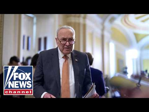 Read more about the article Schumer DODGES on support for far-left Dem in key race
