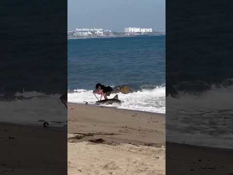 Read more about the article Los Angeles fisherman releases SHARK back into ocean #foxnews #news #us #fox