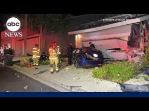 Read more about the article Tesla driver in Southern California leaves trail of destruction