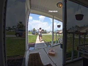 Read more about the article Amazon driver CAUGHT flinging package onto porch #shorts #foxnews #viral