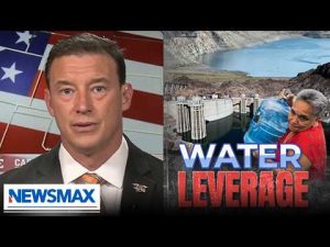 Read more about the article Carl Higbie: ‘Our government is spending money on illegals while we suffer’