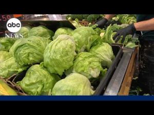 Read more about the article People can resume regular lettuce-eating habits, Michigan health officials say