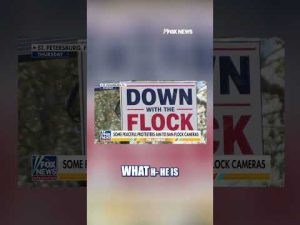 Read more about the article Flock Safety cameras face growing backlash and widespread vandalism #shorts