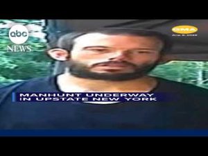 Read more about the article Manhunt underway in upstate New York