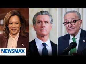Read more about the article Top Democrats line up behind socialist Michigan candidate | The Right Squad
