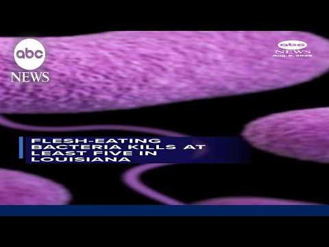 Read more about the article Flesh-eating bacteria kills at least 5 in Louisiana