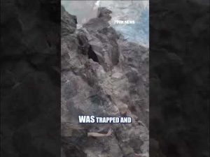 Read more about the article Officials save BASE jumper stranded on CLIFF #foxnews #news #us #fox