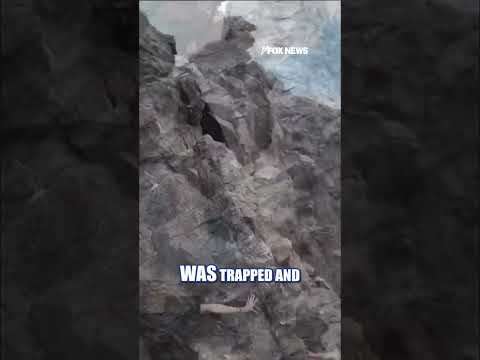 Read more about the article Officials save BASE jumper stranded on CLIFF #foxnews #news #us #fox