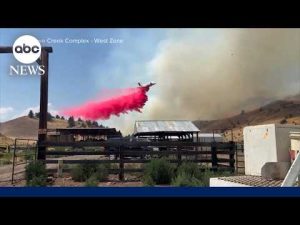 Read more about the article Wildfires raging across the Pacific Northwest