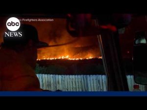 Read more about the article Fast-moving wildfires tear through multiple states