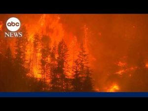 Read more about the article Nearly 100 major wildfires burning in US