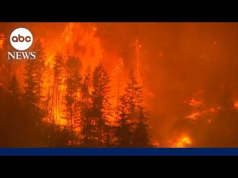You are currently viewing Nearly 100 major wildfires burning in US