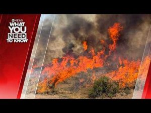 Read more about the article Nearly 100 Large Fires Nationwide. What You Need To Know – August 10