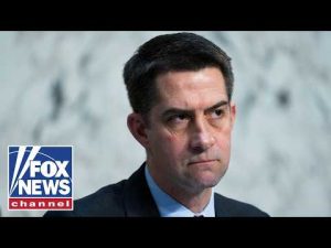 Read more about the article ‘DIVIDE AND INFLAME’: Sen Cotton WARNS of foreign ‘enemies’ allegedly funding radical groups