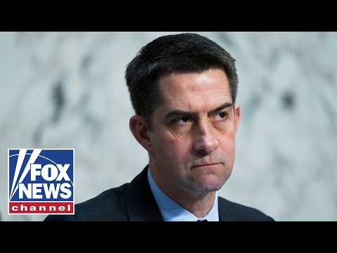 Read more about the article ‘DIVIDE AND INFLAME’: Sen Cotton WARNS of foreign ‘enemies’ allegedly funding radical groups