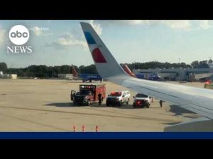 Read more about the article American Airlines pilot declares mayday after bird strike