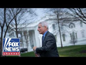 Read more about the article Fauci was ‘saving himself from HUMILIATION’: Former federal prosecutor