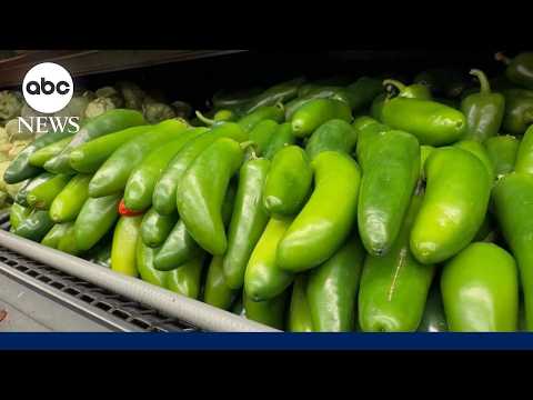 Read more about the article Major retailers pull products made with potentially contaminated jalapeños