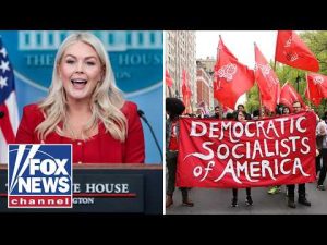 Read more about the article Karoline Leavitt: DSA should be called ‘DESTRUCTIVE SOCIALISTS OF AMERICA’