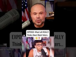 Read more about the article EXPOSED: What Left REALLY Thinks About Black Voters…