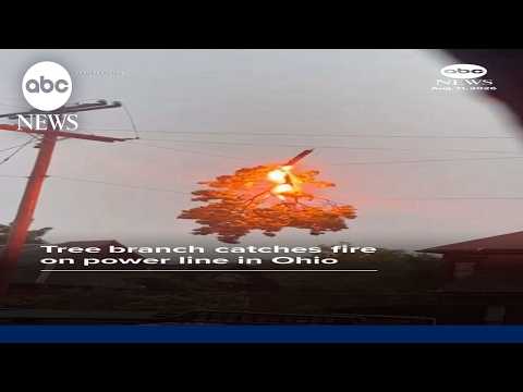 Read more about the article Tree branch catches fire on power line in Ohio