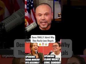Read more about the article Dems Finally Admit Why They *REALLY* Love Illegals