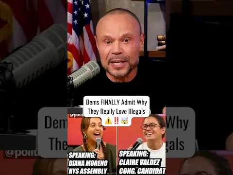 You are currently viewing Dems Finally Admit Why They *REALLY* Love Illegals