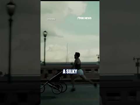 You are currently viewing Dad BREAKS world record with 4:14 baby stroller mile #shorts #foxnews #us