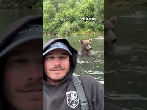 Read more about the article Fisherman remains incredibly calm as grizzly bear fishes behind him #foxnews #news #us #fox