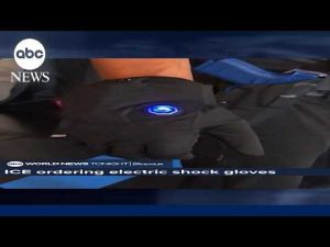 Read more about the article ICE ordering electric shock gloves as agency faces scrutiny
