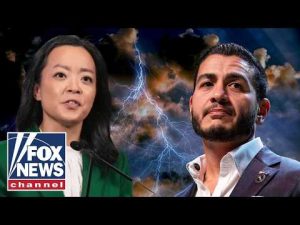 Read more about the article ‘FAR FROM OVER’: Ex-DNC official makes stunning admission about socialists