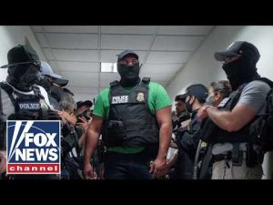 Read more about the article ICE set to use non-lethal shock gloves for arrests