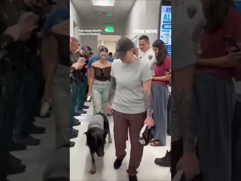 Read more about the article K-9 gets a hero’s welcome #shorts #foxnews #us #news