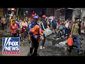 Read more about the article Mass migration crisis sparks BOLD warning from lawmaker