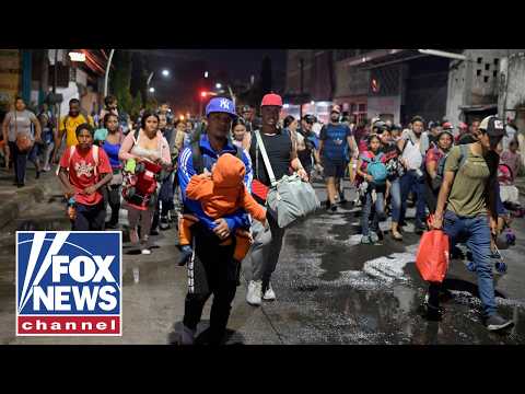 Read more about the article Mass migration crisis sparks BOLD warning from lawmaker