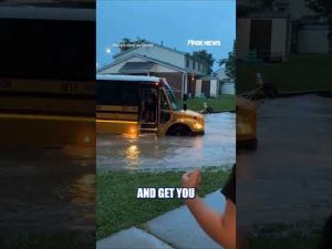 Read more about the article A first day of school to remember #shorts #foxnews #news #us