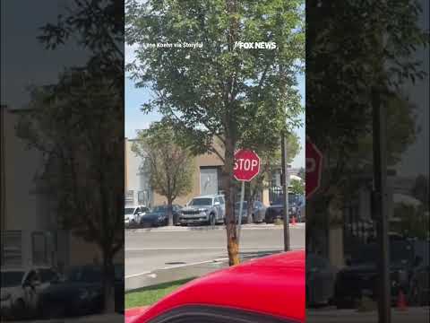 Read more about the article NEW: Video shows gunman opening fire outside an Idaho In-N-Out Burger #shorts #news #foxnews #fox